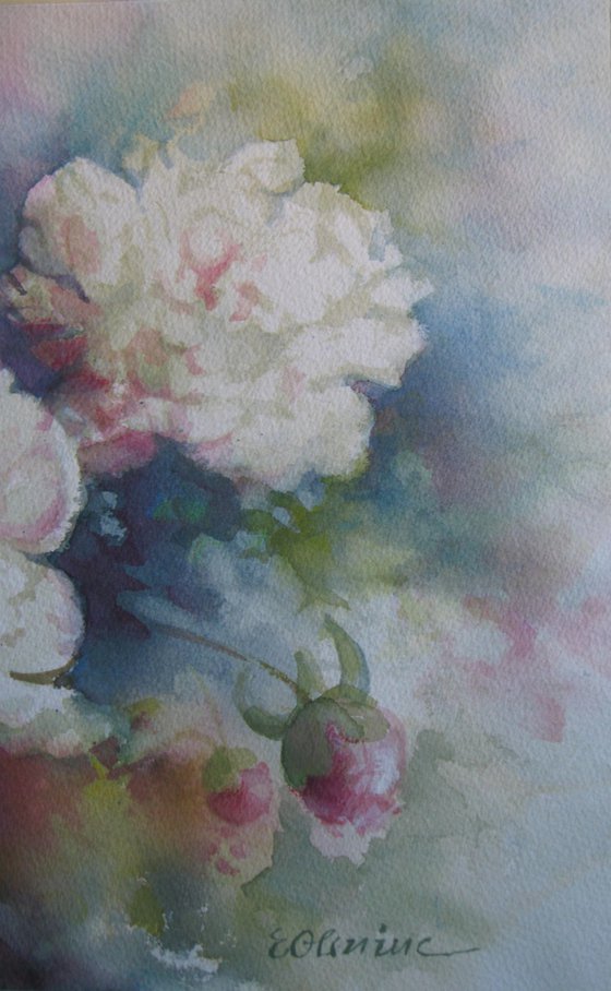 Peonies