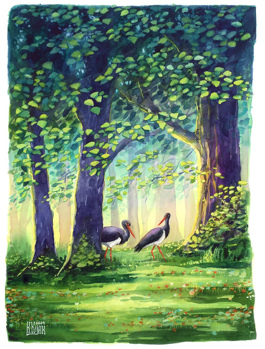 Animal Watercolour By Karolina Kijak, 12 X 16", Deep Forest With Black Storks, Original Artwork