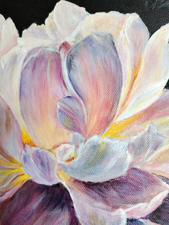 Whisper of Luminescent Peony.
