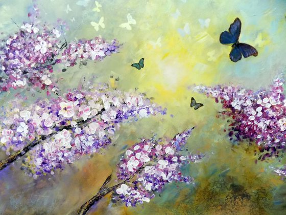 Butterflies and flowers