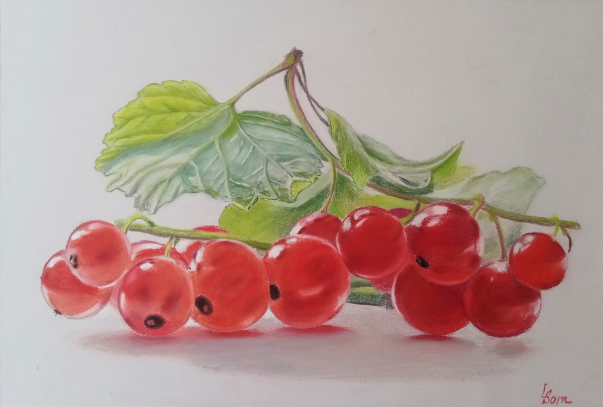 Translucent red berries by Liubov Samoilova