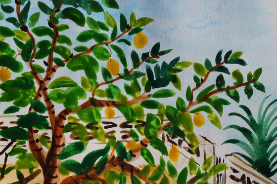 Lemon tree in Badia gardens