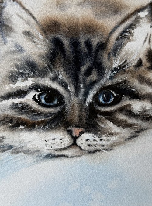 Resting cat, Let’s take a rest by Natalia Butenko