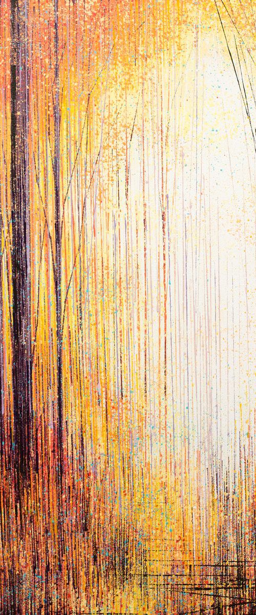 Golden Light Through Forest Trees by Marc Todd
