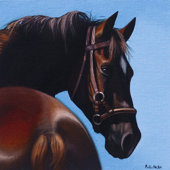 Horse Portrait 54