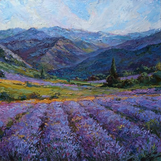 Lavender in the valley.