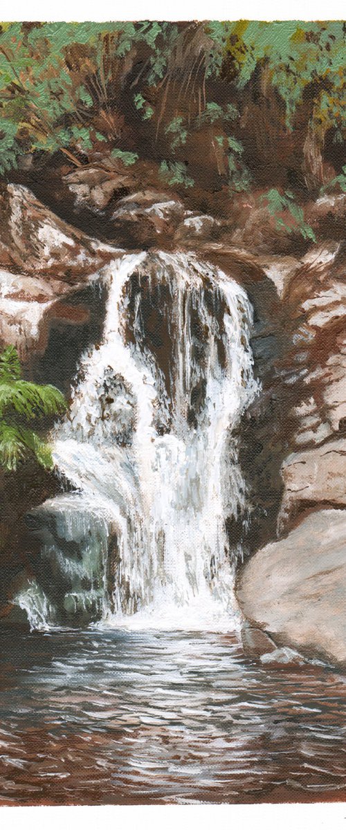 Forest Oasis by glyn whiting