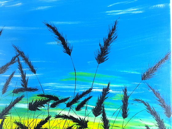 Sunrise in the grass