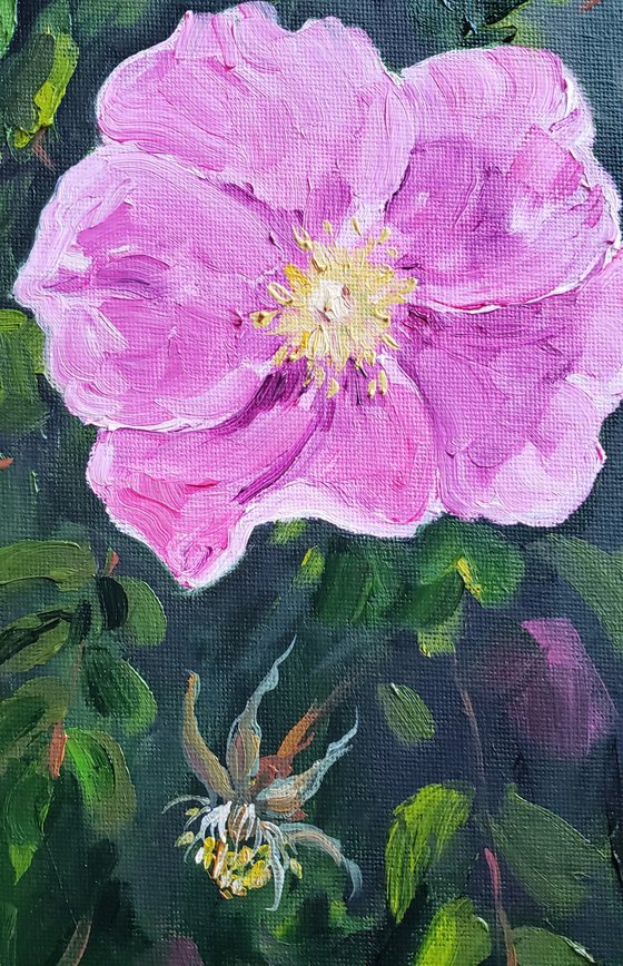 Flower - Botanical - "Prairie Rose"