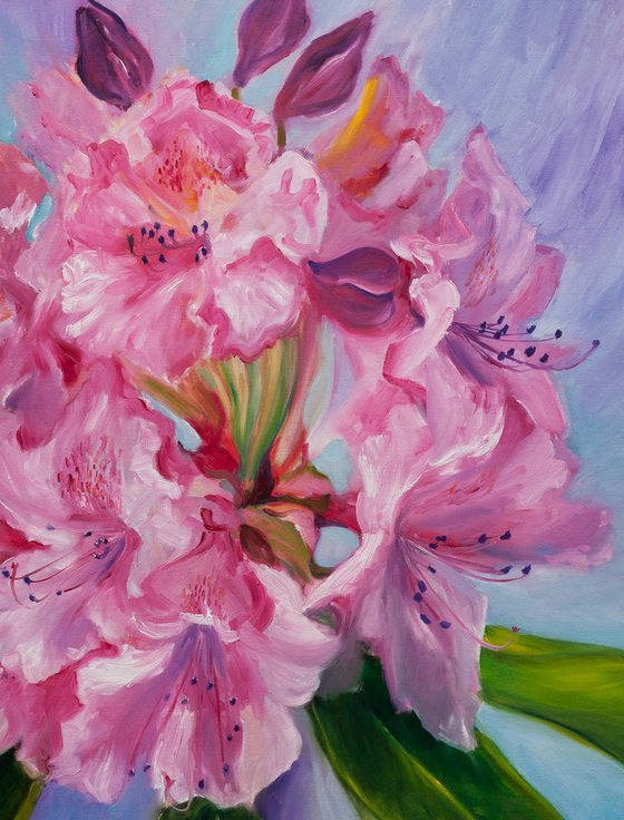Rhododendron
