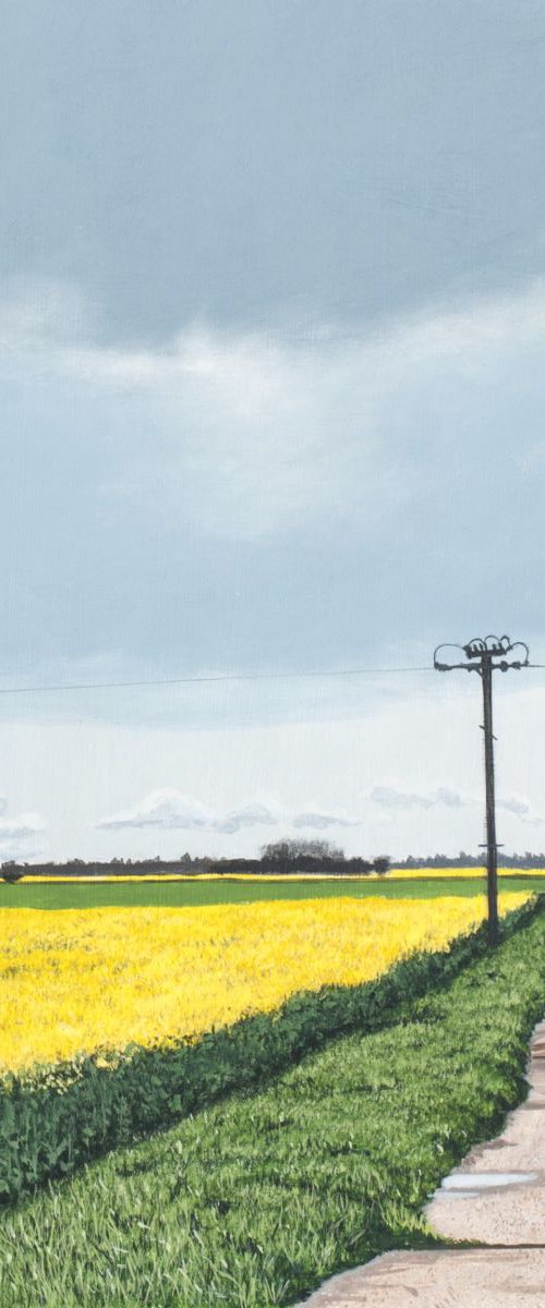 Farm Road by Christopher Witchall