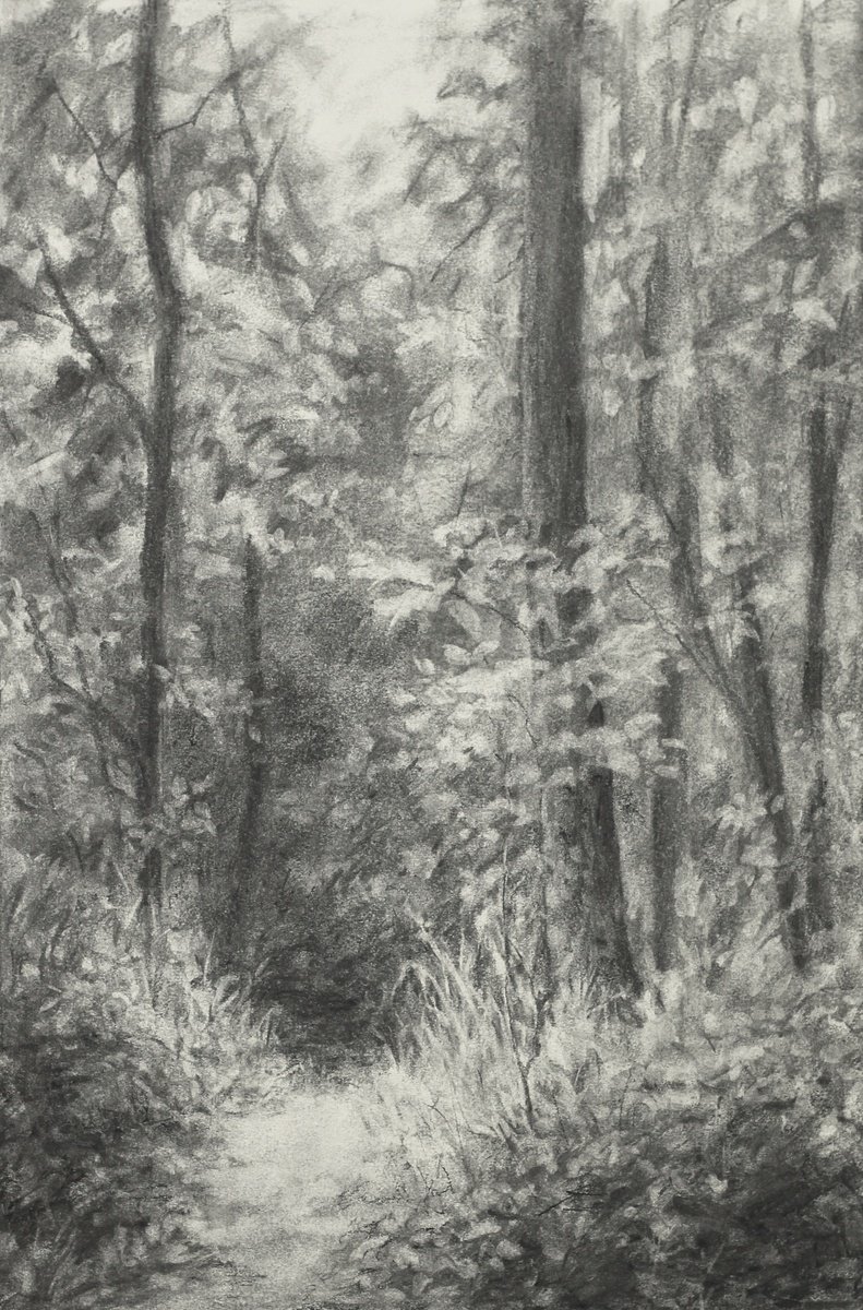Tippecanoe Woods scene by John Fleck
