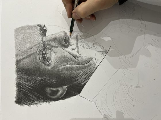 Clint 'Make my Day' Eastwood