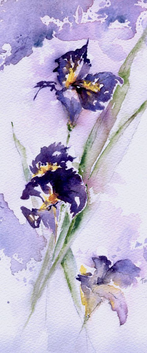 Irises by Alex Tolstoy