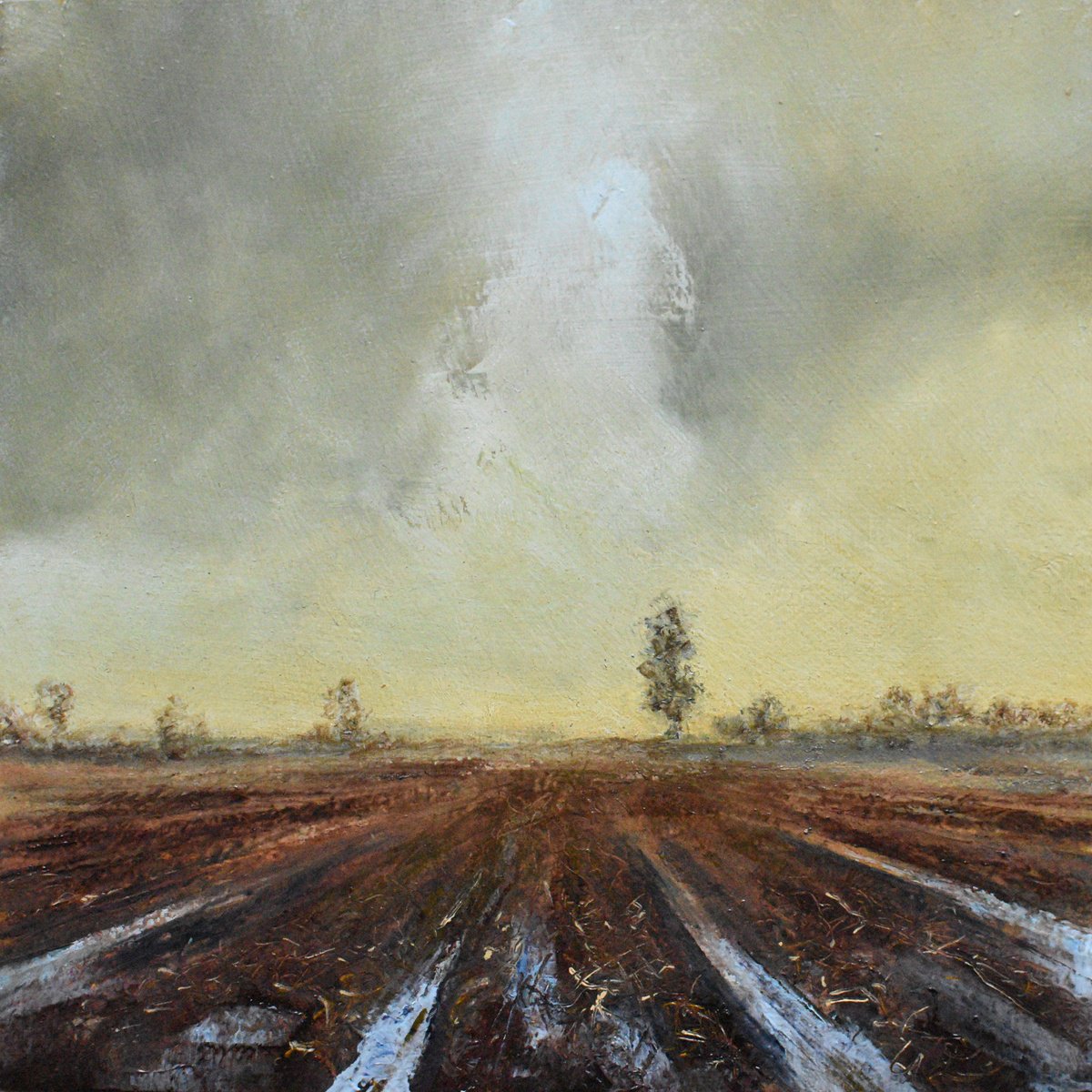 Expressive Landscape Oil Painting By Colin Slater, 8 X 8, Ploughed Field #4, Original Artwork