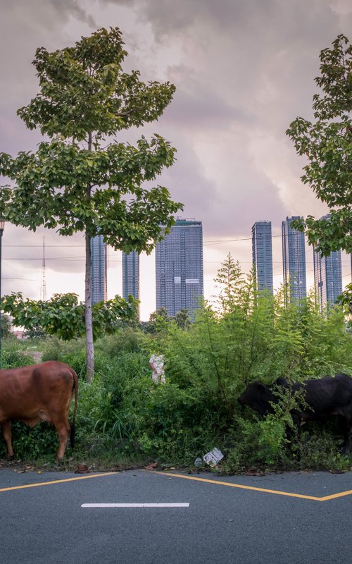 Urban Pastures I - (S) by Serge Horta