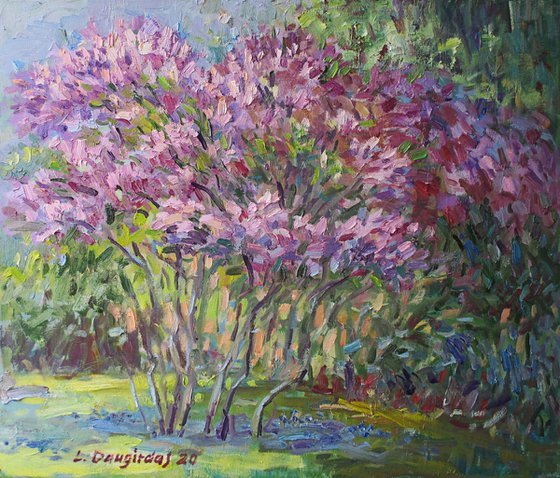 The lilac tree