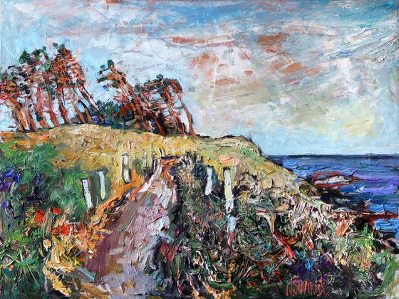 Coastal pines.