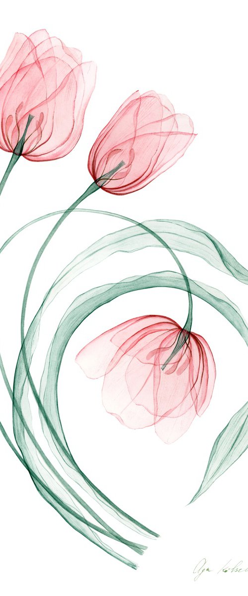 Dancing Tulips by Olga Koelsch
