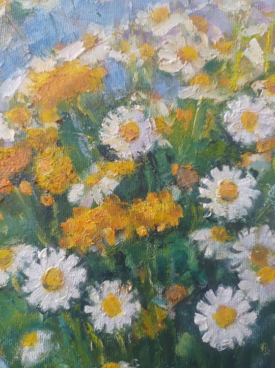 Tansy and daisies