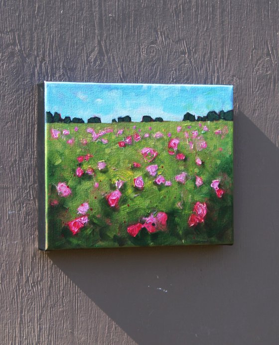 Wild Roses