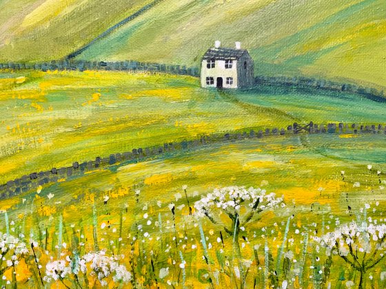 Buttercup Fields, landscape, Yorkshire, dales, countryside