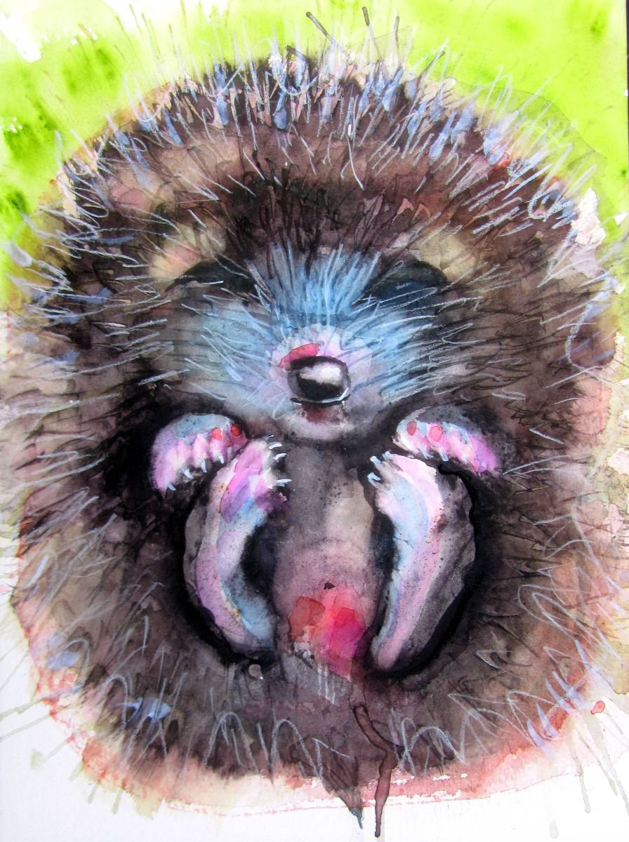 Baby Hedgehog by Violeta Damjanovic-Behrendt