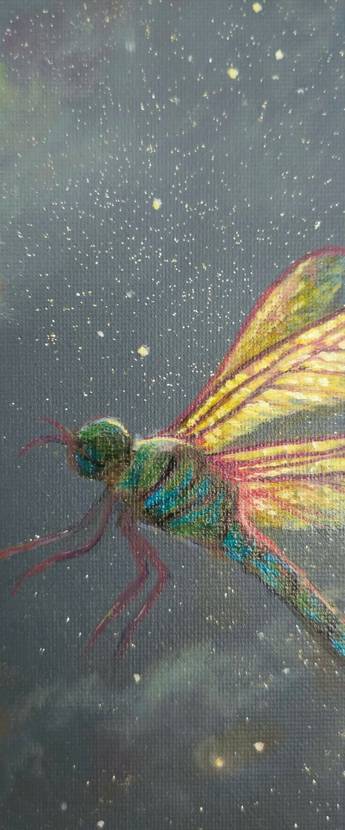 Lumiére by Ellisa Hague