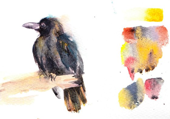 Large-billed crow, original watercolour painting