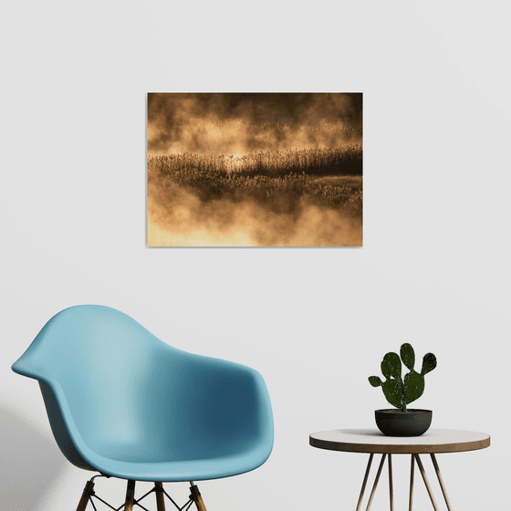 Dancing Reeds