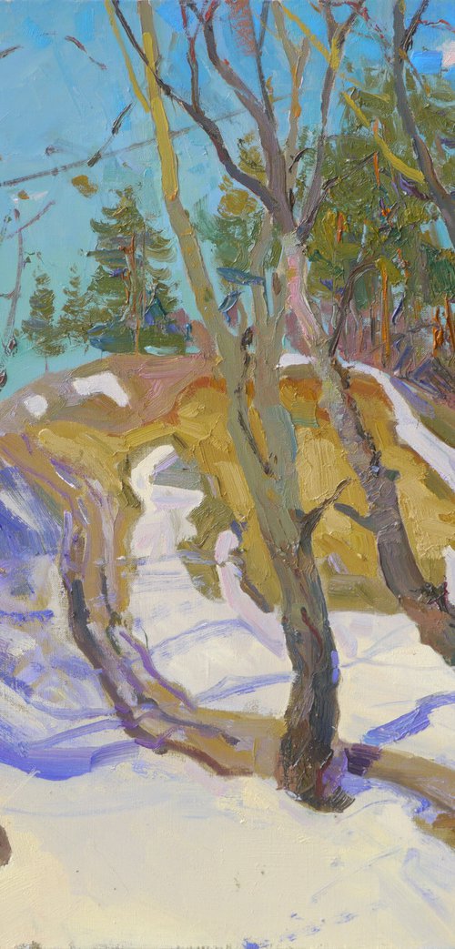 Trees on the outskirts of Sedniv. Sunny by Victor Onyshchenko