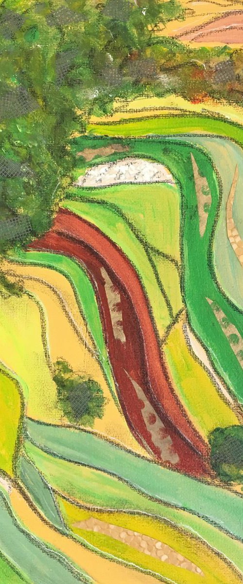 Rice paddies by Anya Getter