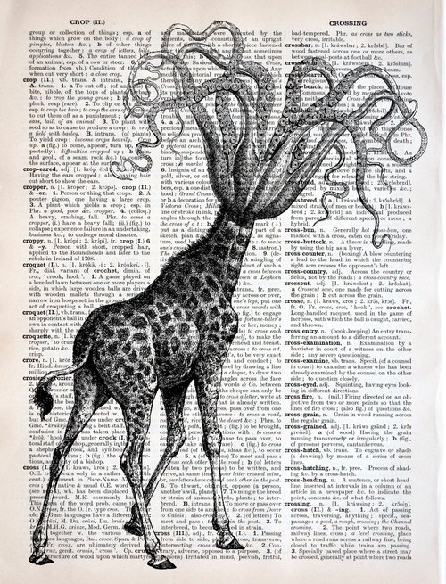 Octopus Giraffe - Collage Art Print on Large Real English Dictionary Vintage Book Page by Jakub DK - JAKUB D KRZEWNIAK