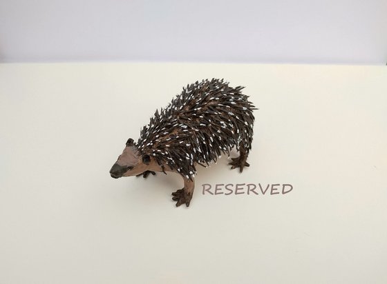 European hedgehog 2