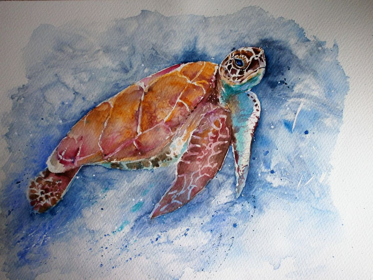 Turtle by Sue  Green