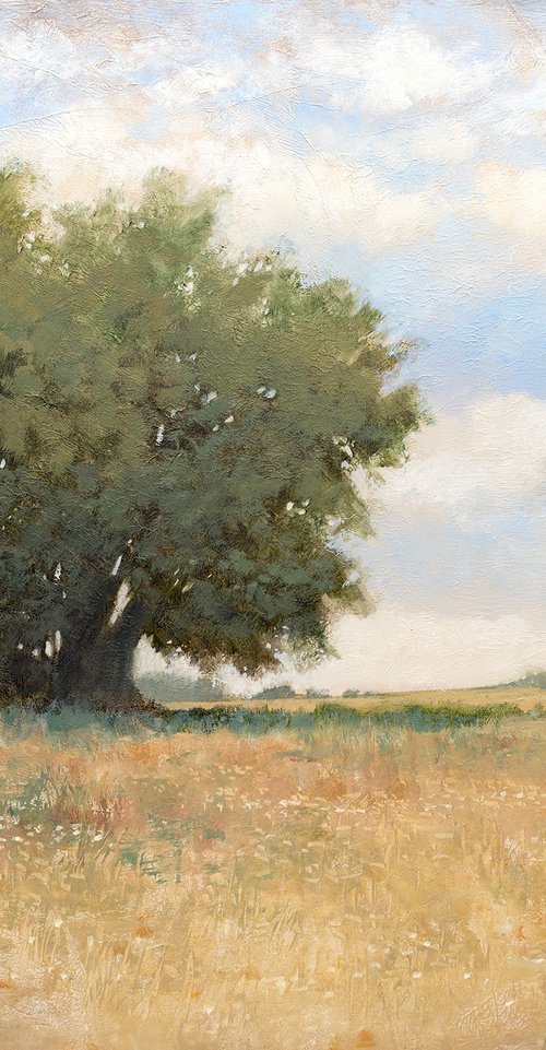 Summer Trees 260402 by Don Bishop