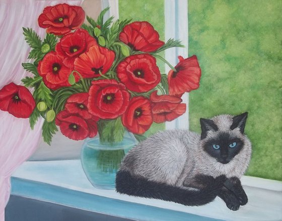 Siamese cat and Poppies