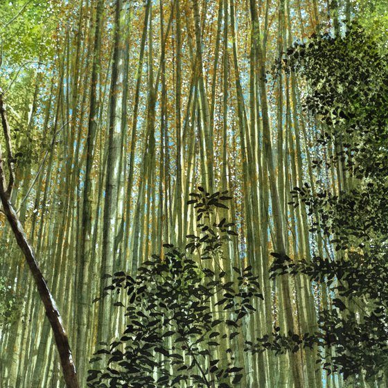 Bamboo Forest in Kyoto