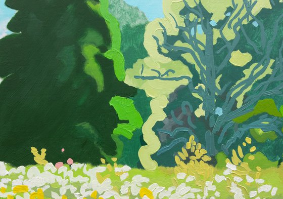 Summer field