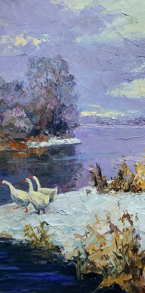 Geese On A Pond In Winter by Boris Serdyuk
