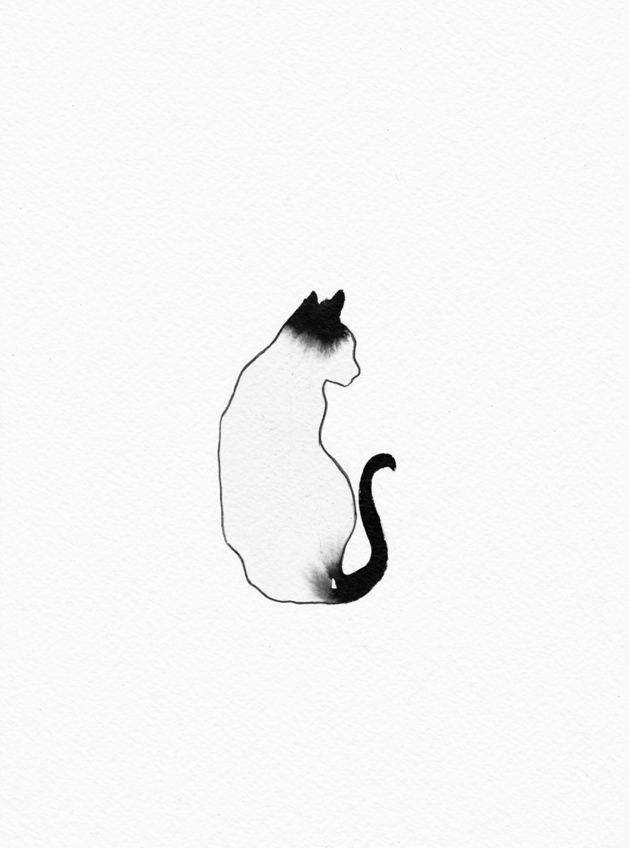 Cat by Doriana Popa