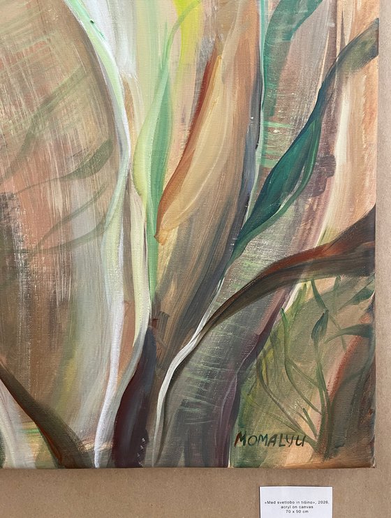 Between Light and Silence