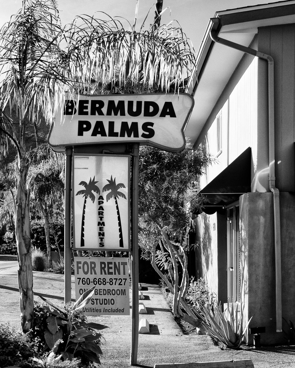 BERMUDA PALMS MYSTERY Palm Springs CA by William Dey