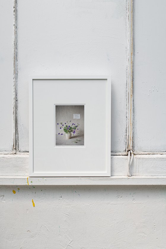 Geranium wallichchianum