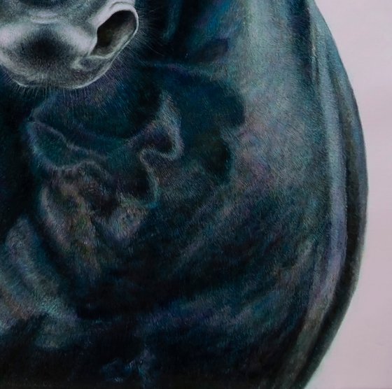 Black Eclipse. The Horse.