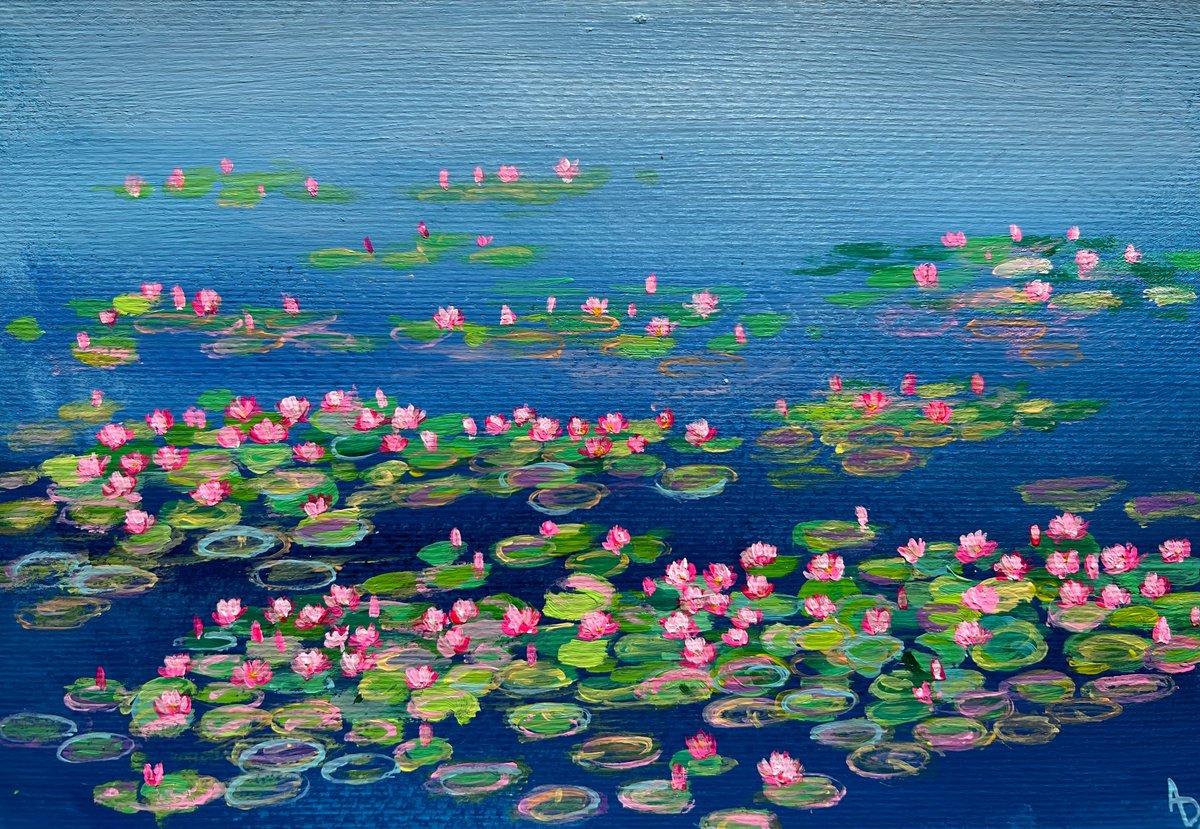 Pink water lilies bunch by Amita Dand