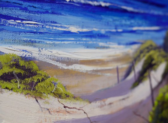 Sand Dunes to the Ocean Beach