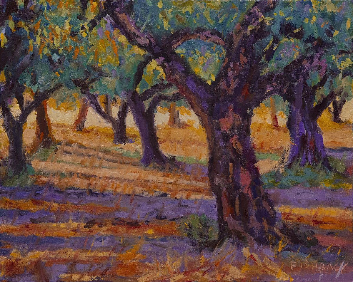 Olive Tree Grove by Daniel Fishback