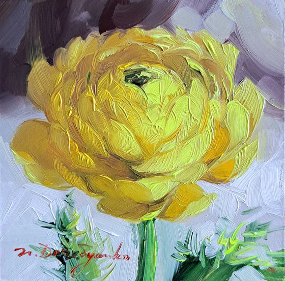 Ranunculus flower