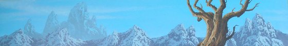 Bristlecone and sharp peaks